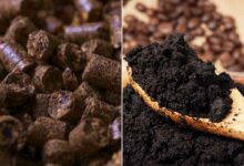 Les pellets de bois à base de marc de café seraient plus performants.