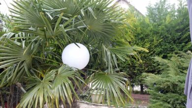 Nous avons testé la Sphère, et la Guinguette, deux luminaires solaires, par Guirled