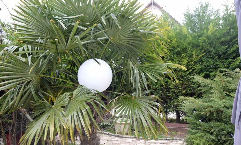 Nous avons testé la Sphère, et la Guinguette, deux luminaires solaires, par Guirled
