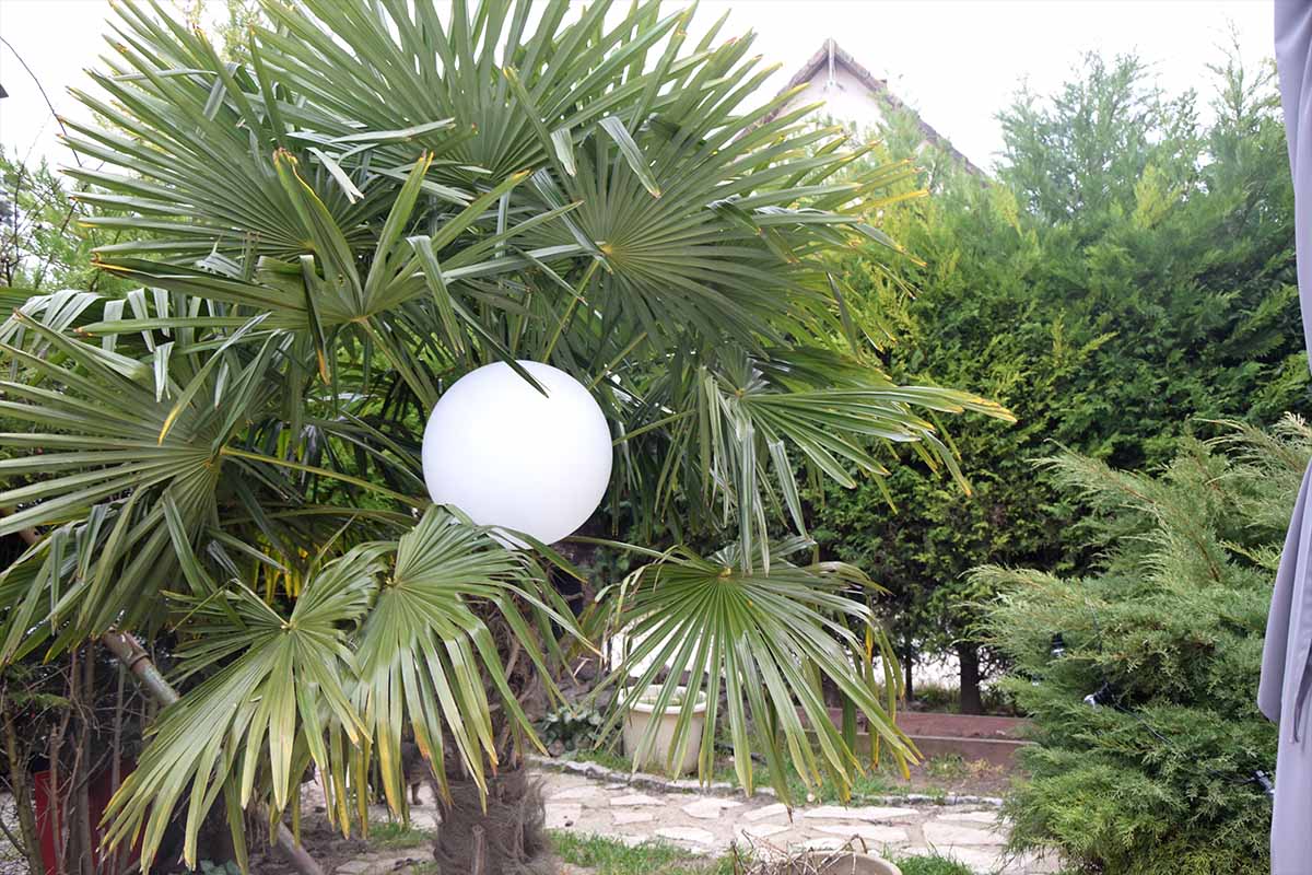 Nous avons testé la Sphère, et la Guinguette, deux luminaires solaires, par Guirled