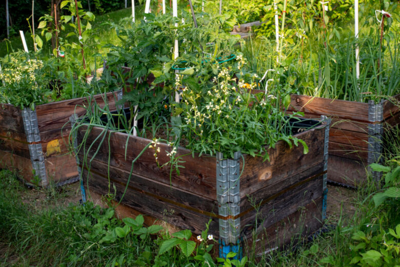 Un jardin hors-sol est un potager que l’on cultive en hauteur.