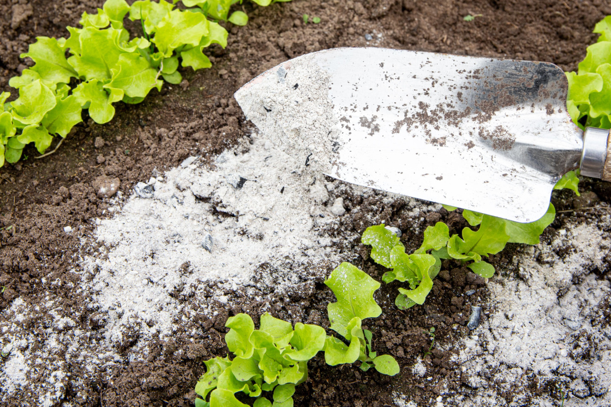 Les cendres de bois sont vraiment utiles pour le jardin.