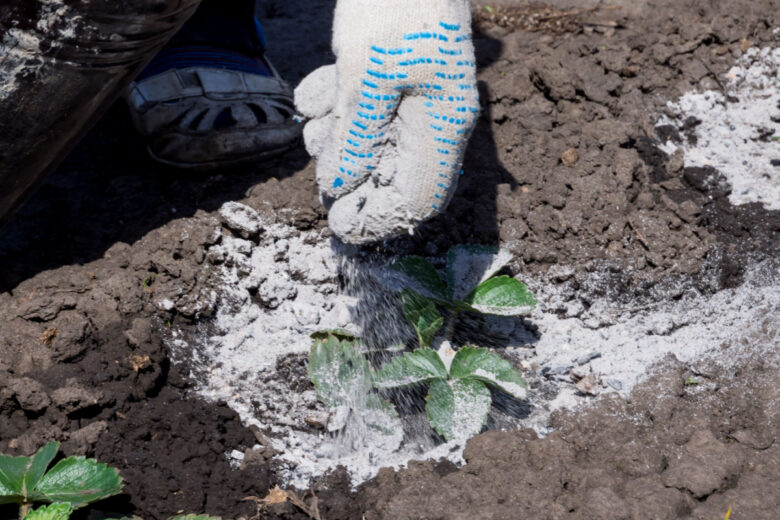 Certaines plantes n'aiment pas les cendres de bois.