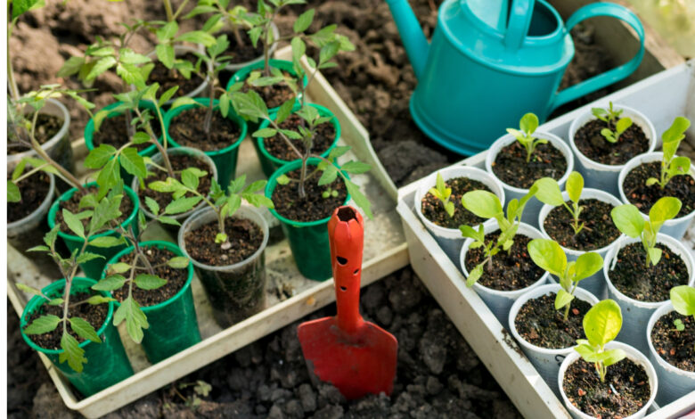 Pour une agriculture respectueuse de l'environnement.