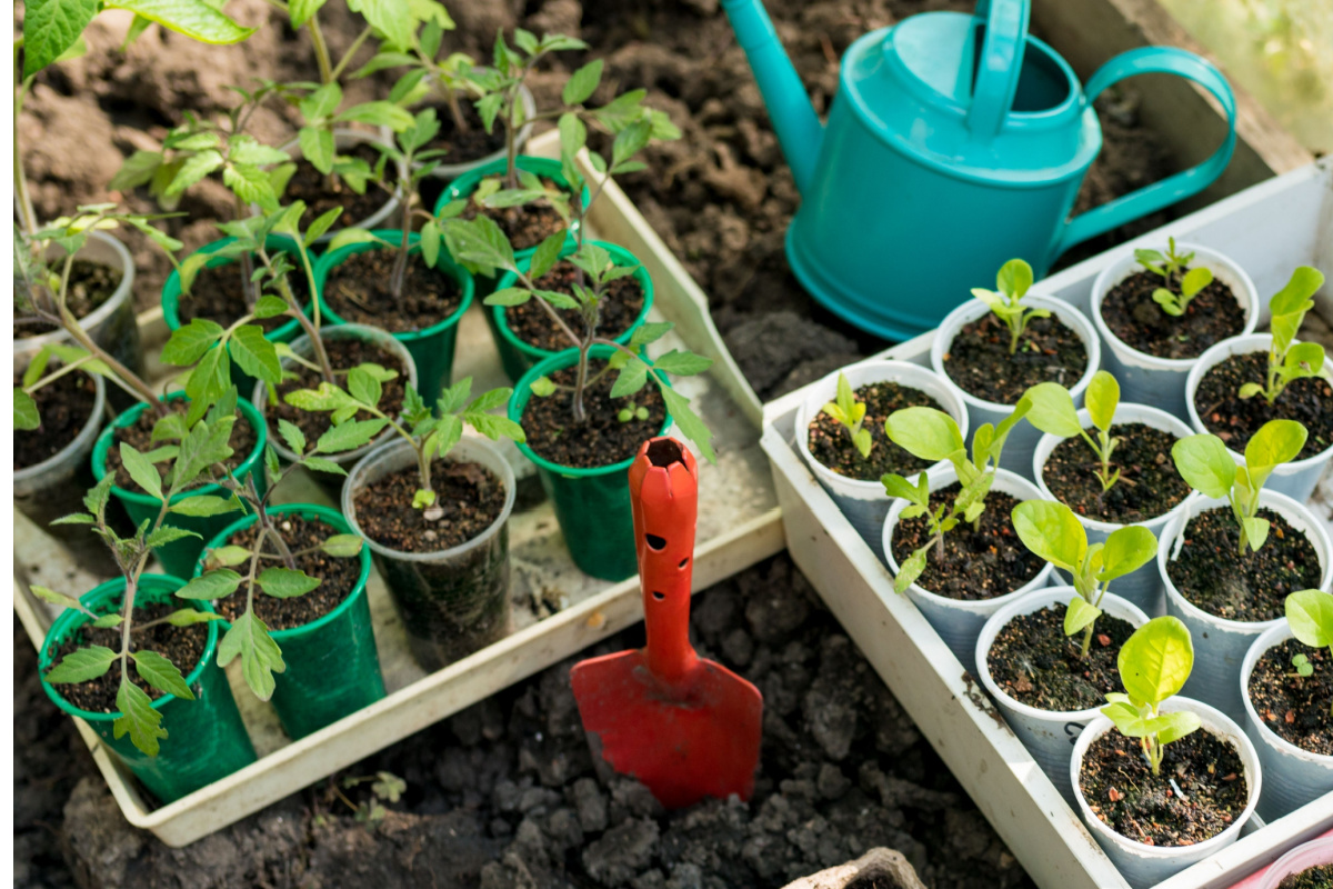 Pour une agriculture respectueuse de l'environnement.