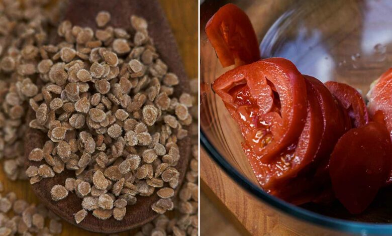 Des graines paysannes et des tomates.