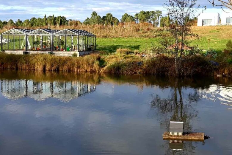 Domaine de la baleine bleue