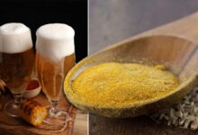 Powdered Beer : un brasseur allemand invente la bière en poudre
