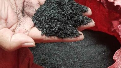 Le biochar aide à la rétention d'eau pendant les sécheresses et prévient l'engorgement et le compactage durant la saison des pluies, explique l'entreprise.