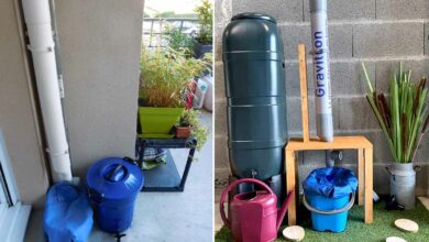 L'invention d'une station de recyclage et de clarification de l’eau de balcon.