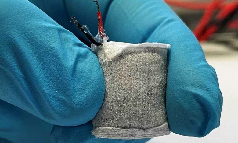 Le prototype de pile à combustible de la taille d'une pièce de deux euros est enveloppé dans une toison.
