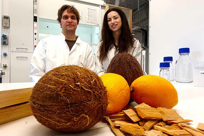 Des chercheurs ont combiné du bois (modifié) avec des molécules dérivées de citrons et de noix de coco pour créer un matériau de construction capable de stocker et de libérer de l'énergie thermique.