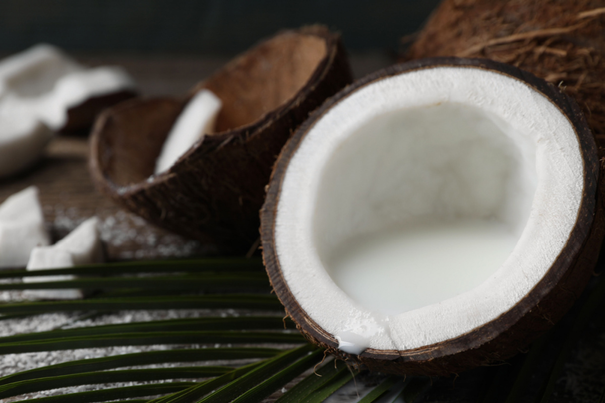 L'invention d'un nouveau matériau chauffant à base de noix de coco.