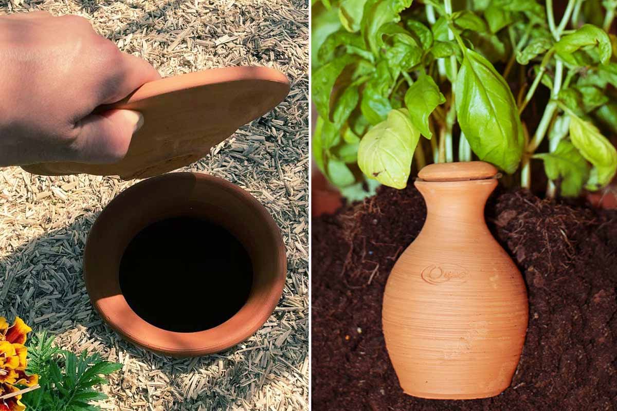 Clayola : l'invention d'un système d'irrigation en terre cuite économe en  eau qui arrose les plantes pendant 30 jours - NeozOne