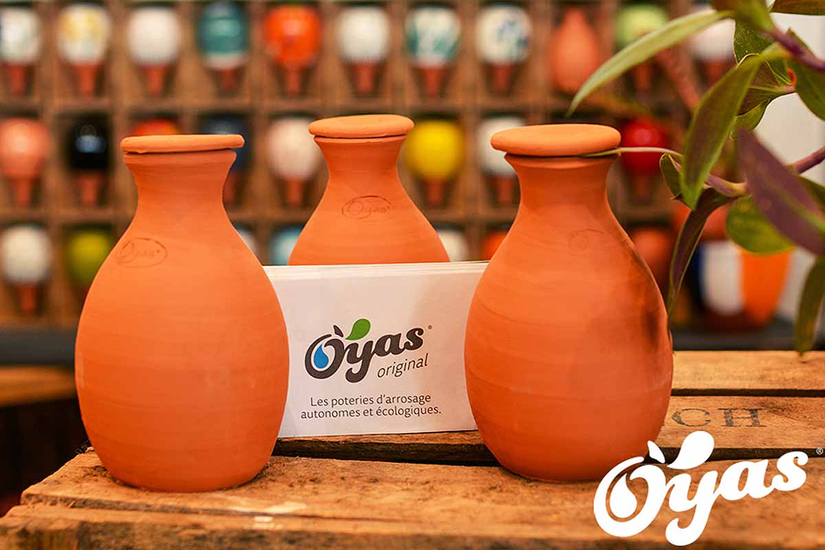 Oyas terre naturelle - Irrigateur d'eau 100% naturel