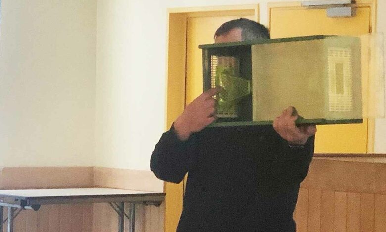 L'invention d'un piège à frelons asiatiques sélectif.