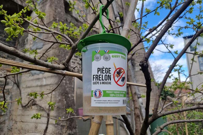 Le piège Easy Trap suspendu à un arbre. 