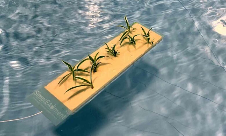 Le radeau de plantes SimplEAUment