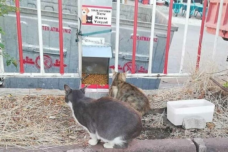 Un distributeur de croquette Pugedon.