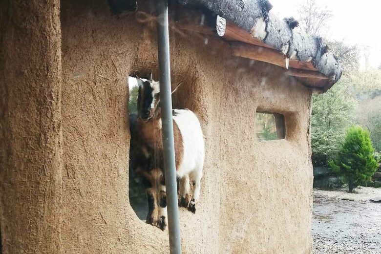 Un rêve qui tourne au calvaire