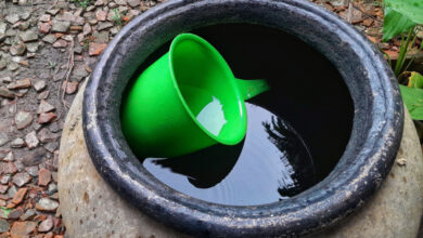 Un baril pour recueillir l'eau de pluie