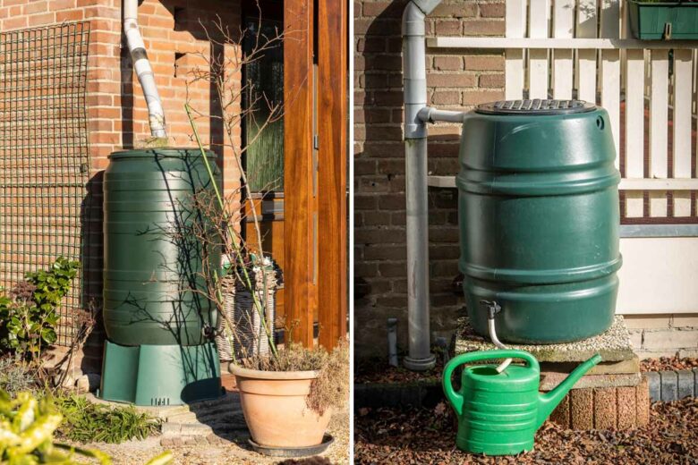 Deux réservoirs d'eau de pluie pour recueillir l'eau de pluie et la réutiliser dans le jardin.