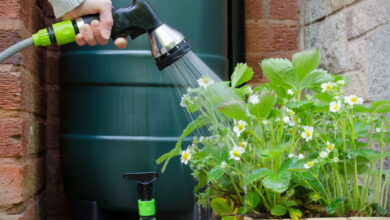 Utiliser un réservoir d'eau de pluie avec un système d'arrosage automatique pour le jardin.
