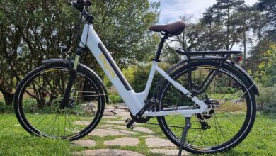 Carnivore, le vélo électrique (VTT) le plus puissant au monde, et il est  disponible en France ! - NeozOne