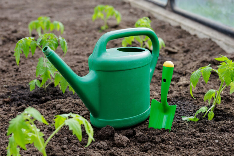 L'arrosoir, un accessoire qui revêt de nombreux avantages pour les cultures, et pour préserver la ressource en eau.