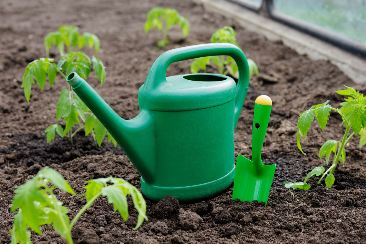 Jardinage : le potager permet de réaliser des économies