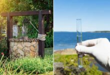 Comment faire analyser l'eau d'un puits ?
