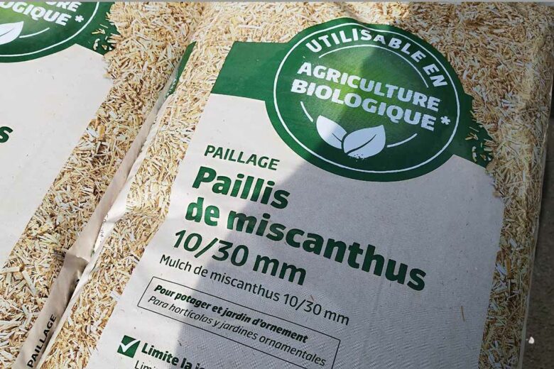 Du paillis de Miscanthus. 