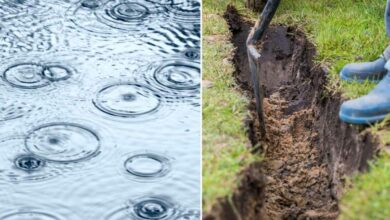 Garantia : Rocky, un récupérateur d'eau de pluie de 400 l imitation mur de  pierres - NeozOne