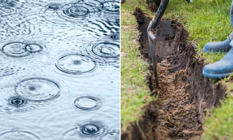 Qu'est-ce que la technique du « plantage de pluie » ?