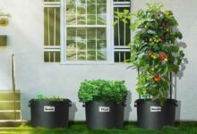 Sacs de plantations non tissés 20 L avec poignée Noir.