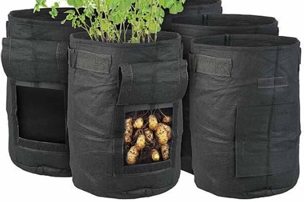 Le sac de plantation : une solution révolutionnaire pour une agriculture  durable et économe en eau - NeozOne