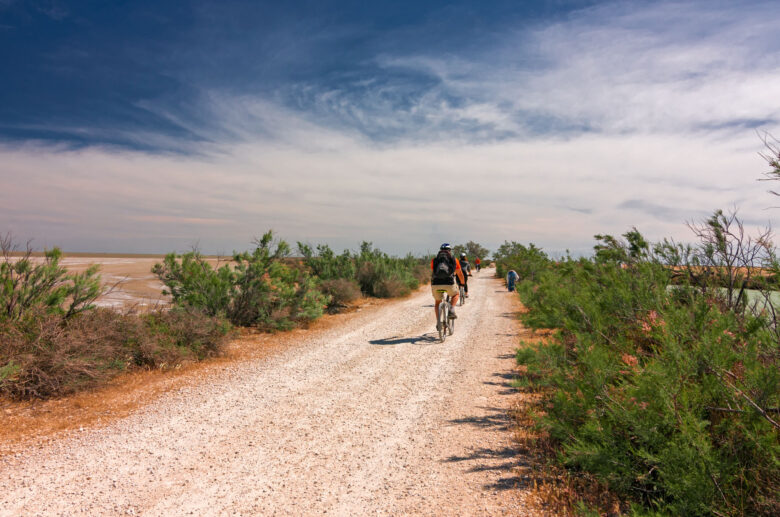 La Camargue