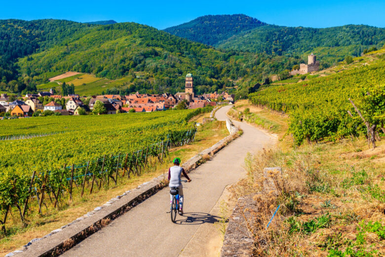 Sur les routes d’Alsace et de ses vignobles