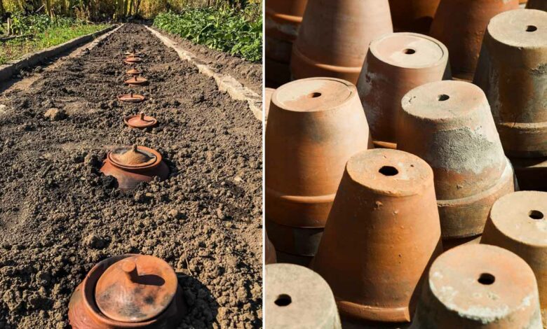 Comment fabriquer vos ollas (oyas) avec des pots en terre cuite, pour un  jardin économe en eau ? - NeozOne