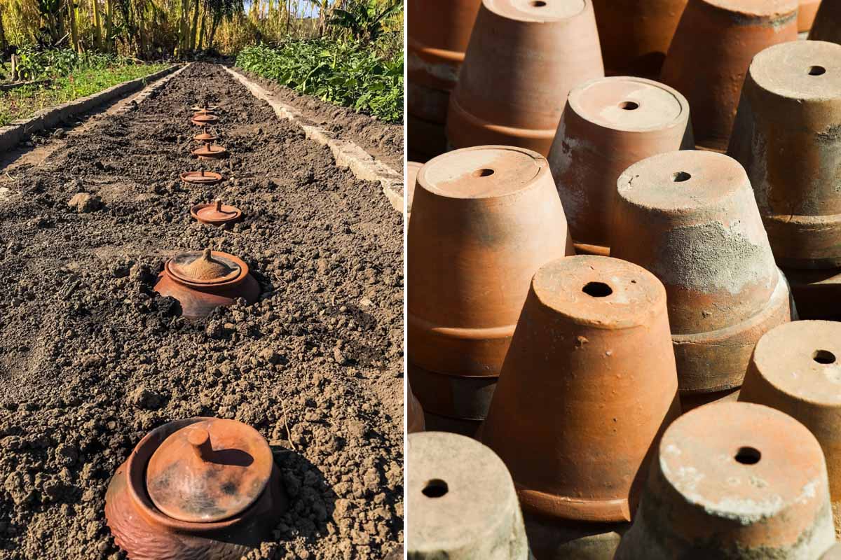 Comment fabriquer vos ollas (oyas) avec des pots en terre cuite, pour un  jardin économe en eau ? - NeozOne