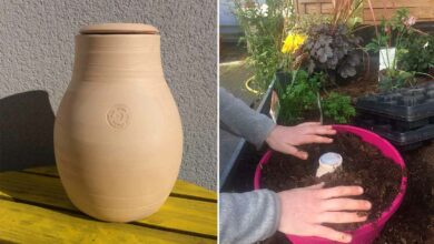 Des oyas pour économiser l'eau du jardin.