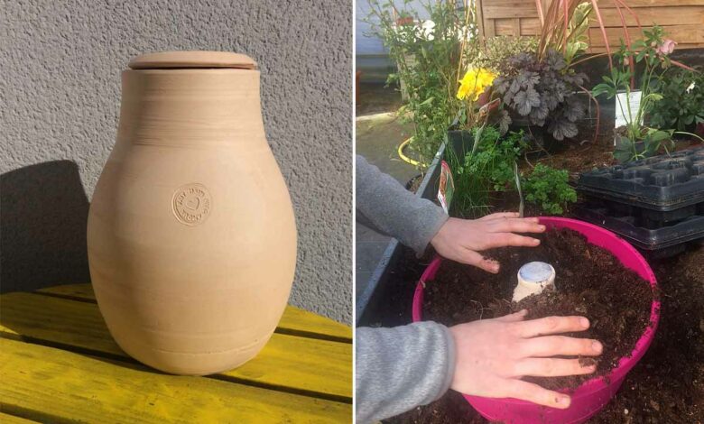 Des oyas pour économiser l'eau du jardin.