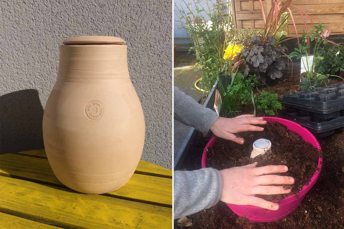 Pour économiser l'eau, la poterie artisanale Lutton fabrique des ollas en terre  cuite à planter et à enterrer - NeozOne