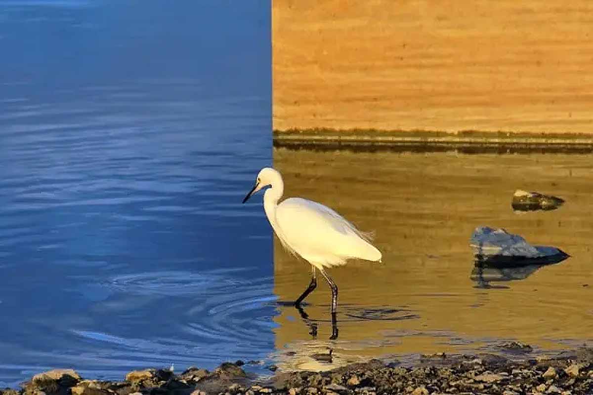 Une photographie non retouchée avec Photoshop, ni créée par une intelligence artificielle.