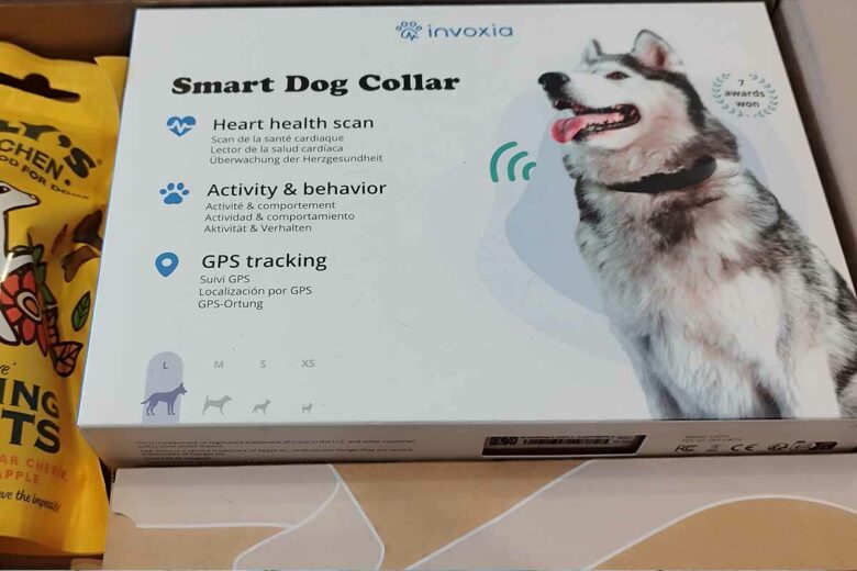 Un collier connecté pour surveiller la santé cardiaque des chiens. 