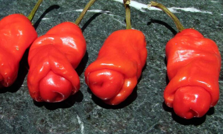 Peter peppers