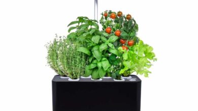 Pot De Serre Hydroponique Smart E-garden Jusqu'à 7 Plantes Avec Eclairage Led Autonome Et Logiciel Automatique Noir