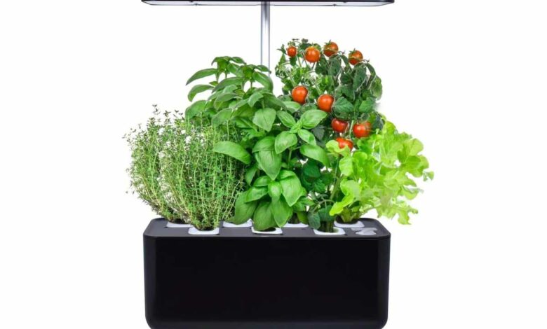 Pot De Serre Hydroponique Smart E-garden Jusqu'à 7 Plantes Avec Eclairage Led Autonome Et Logiciel Automatique Noir