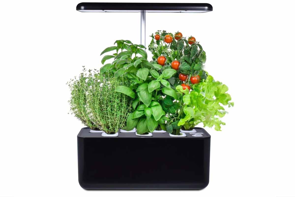 Pot De Serre Hydroponique Smart E-garden Jusqu'à 7 Plantes Avec Eclairage Led Autonome Et Logiciel Automatique Noir