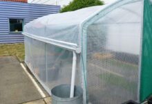 Une innovation très ingénieuse pour récupérer l'eau de pluie avec une serre.